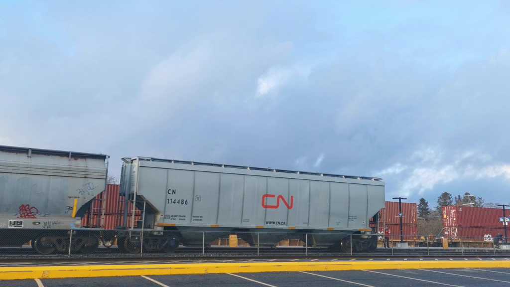 CN 114486